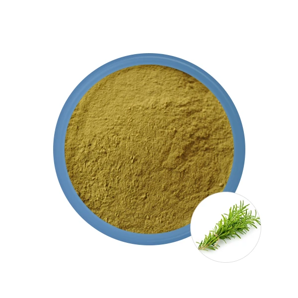 Rosemary-extract-powder Rosemary-extract-powder